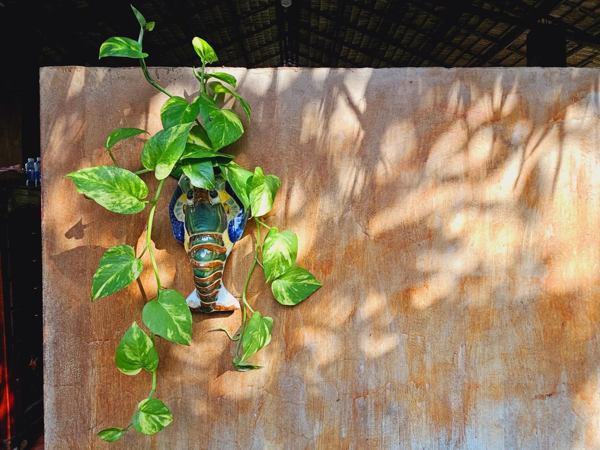 Ba Danh Homestay & Kitchen - Ben Tre Mekong Exterior foto